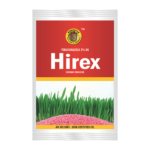 Hirex