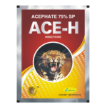 ACE-H