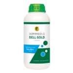 Dell Gold