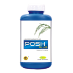 Posh Plus