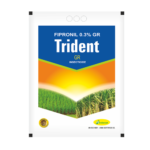 Trident GR